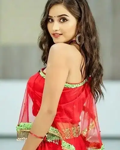 Call Girls Service Tiruchanur
